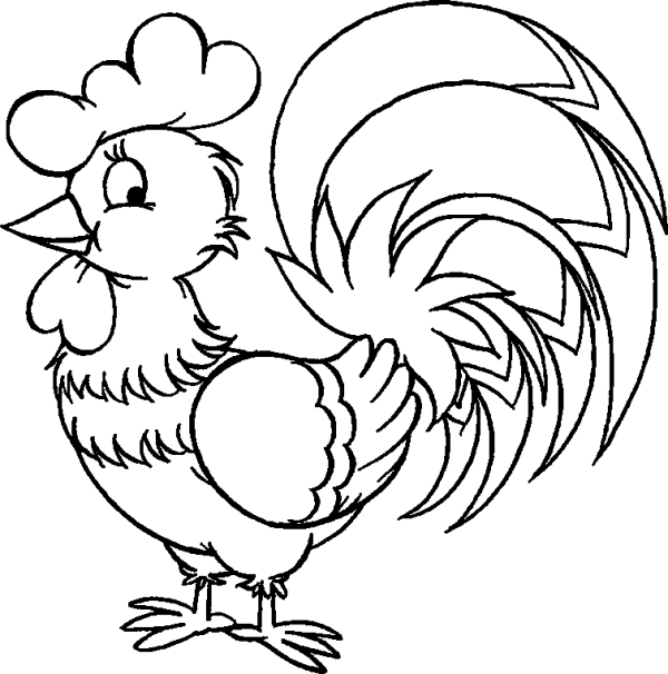 Rooster