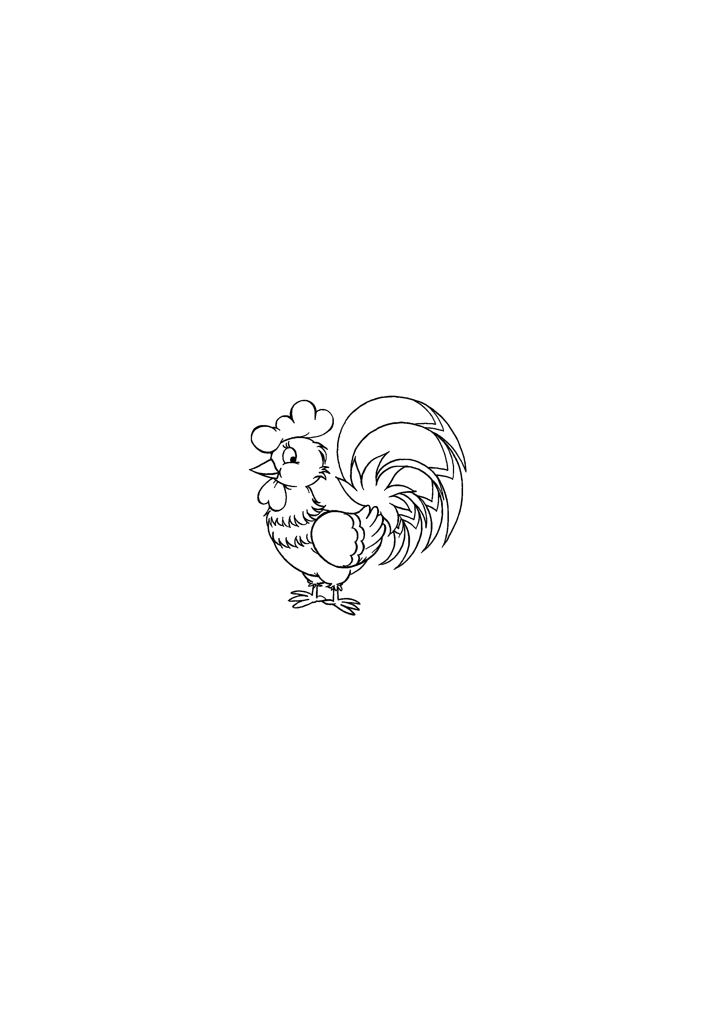 Rooster
