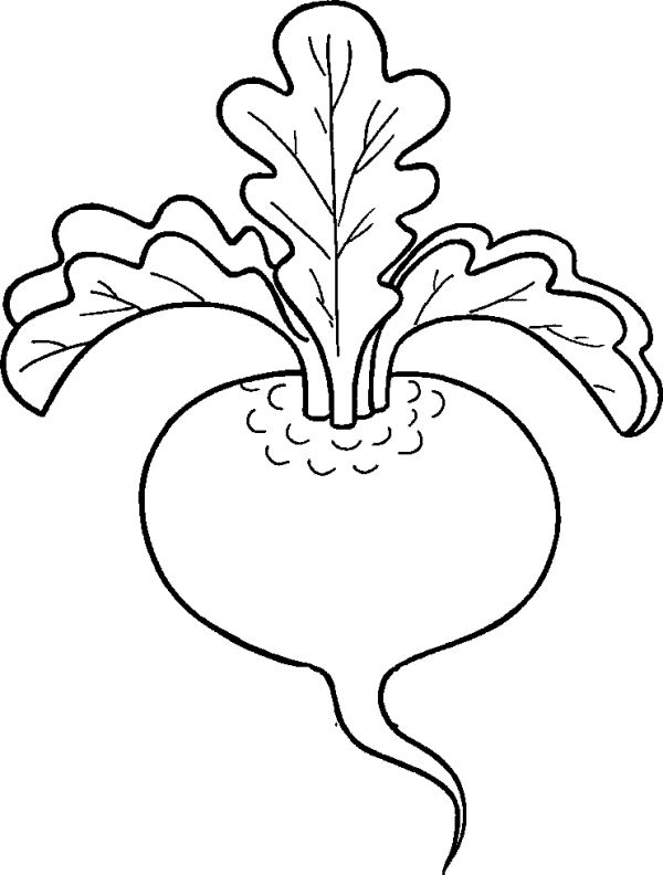 The Turnip 1