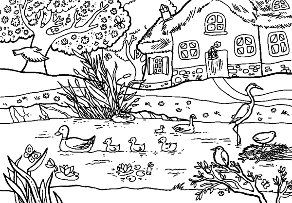 Lake with Ducks by the House
