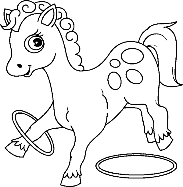 Horse Performing a Trick with Two Hoops