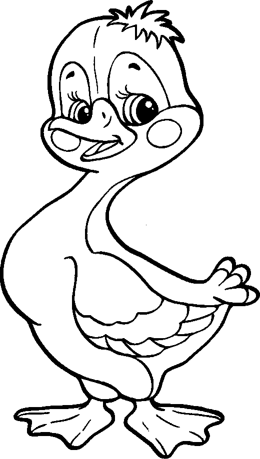 Duck from the Fairy Tale