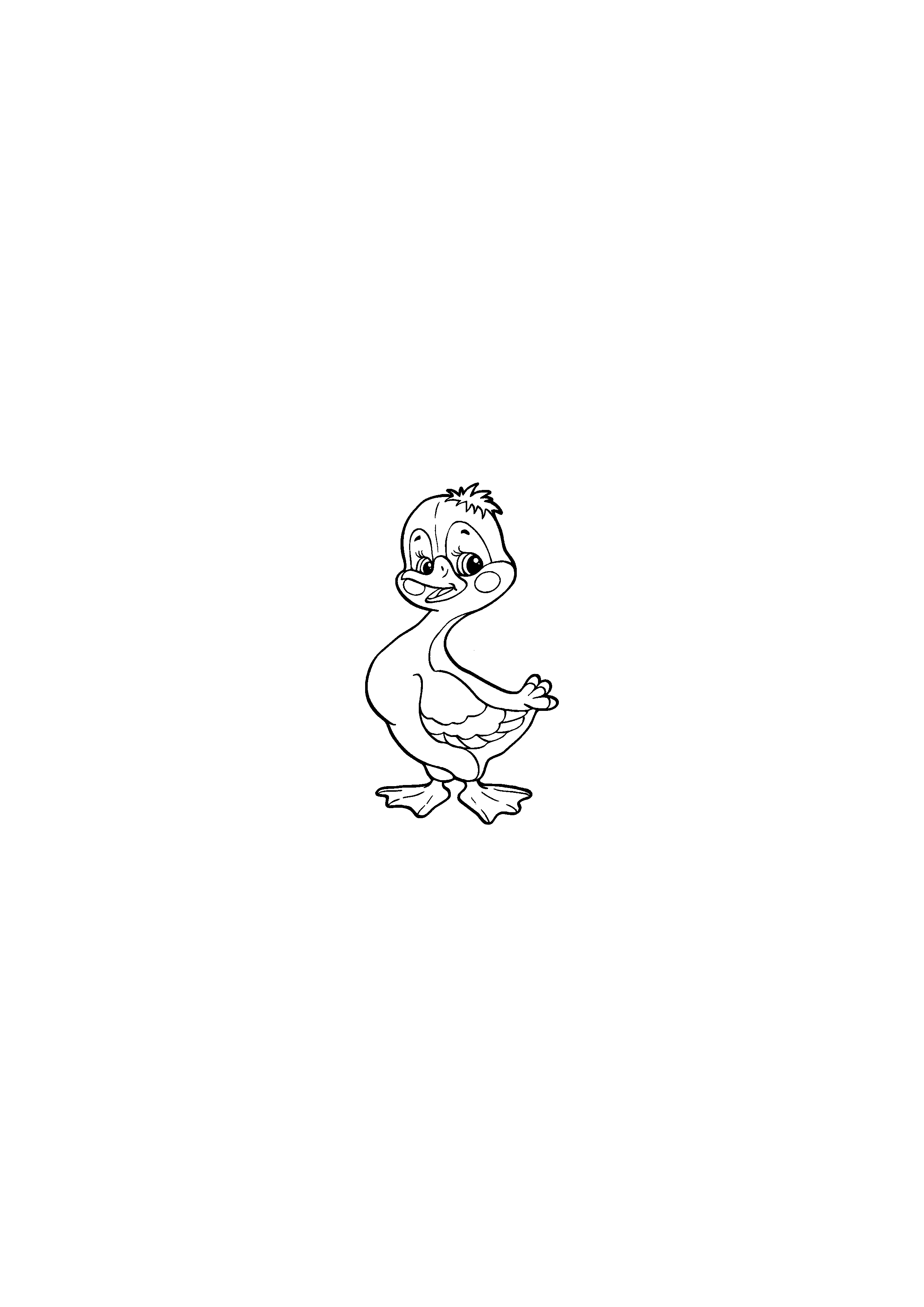 Duck from the Fairy Tale