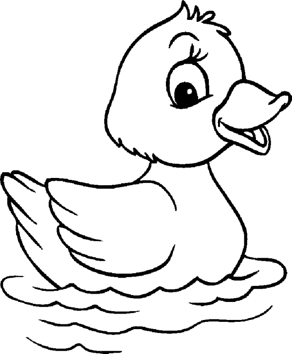 Little Duckling