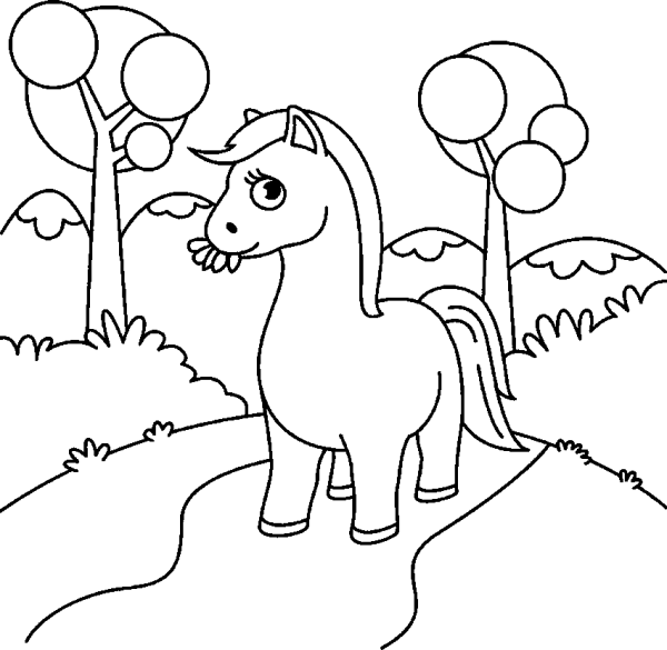 The Cute Horse is Walking Down the Road
