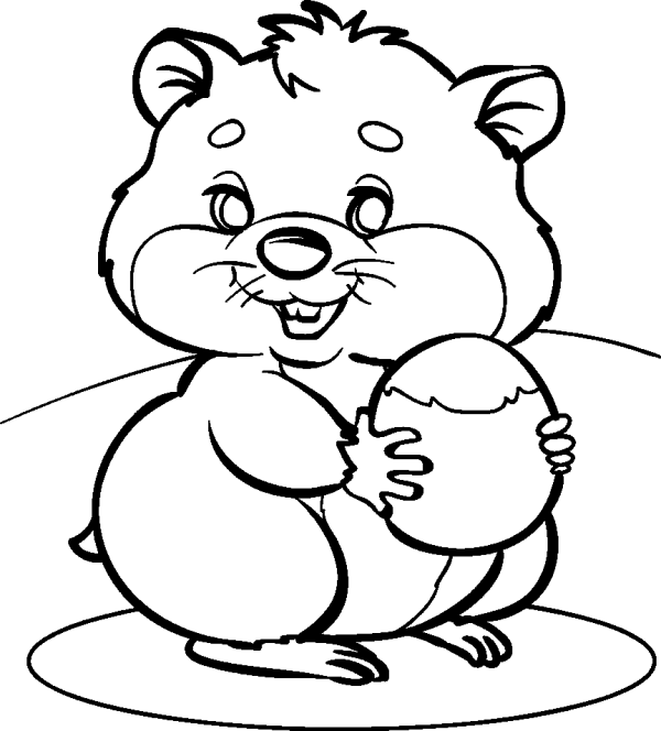Hamster with a Nut