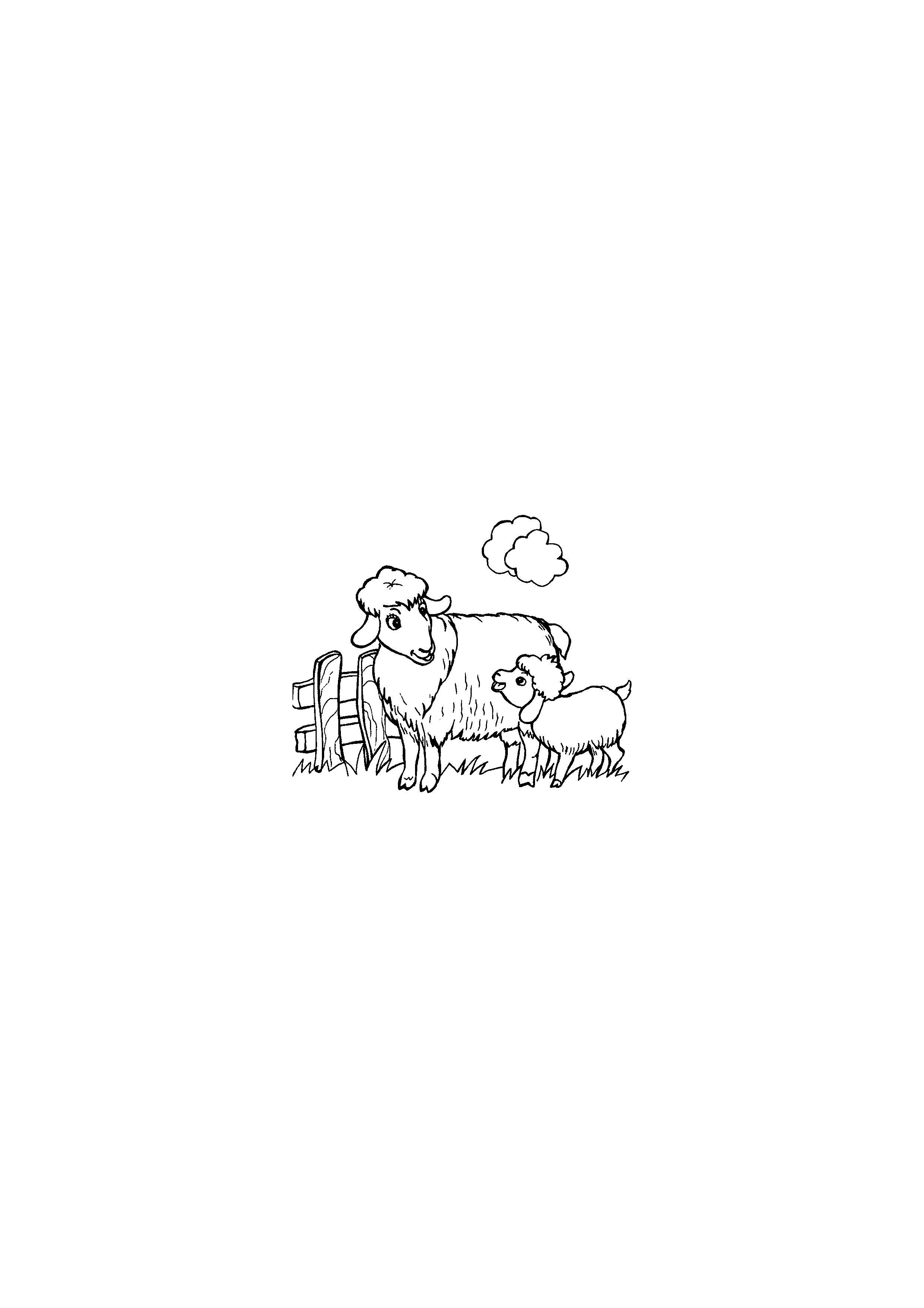 Sheep and lamb standing by the fence