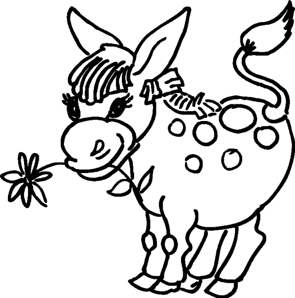 Spotted Donkey with a Flower
