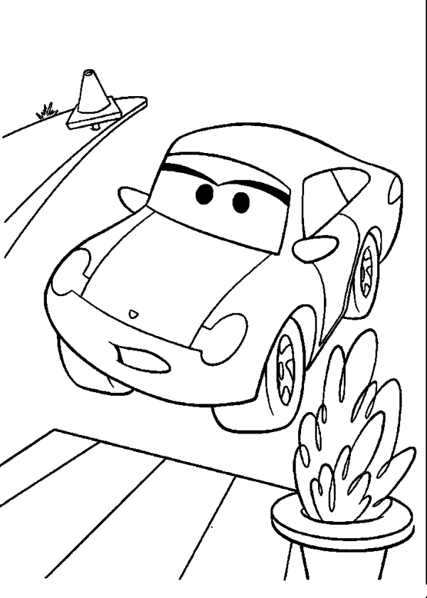 Sally and the Cars Cactus