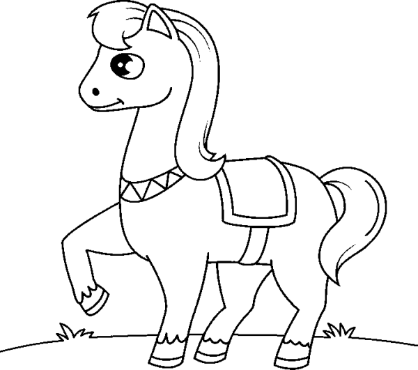 Horse in the Meadow