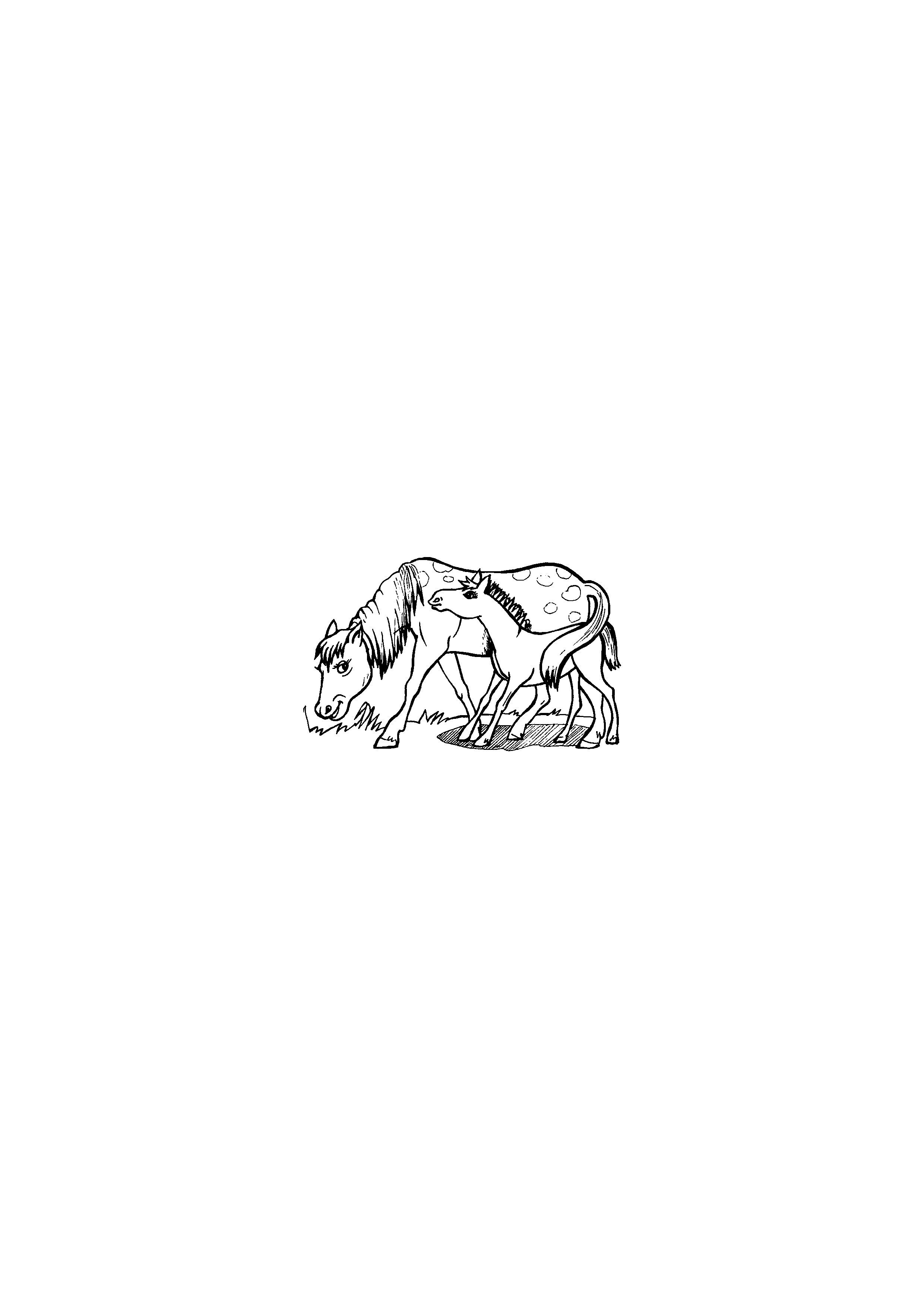 Spotted Horse and Foal