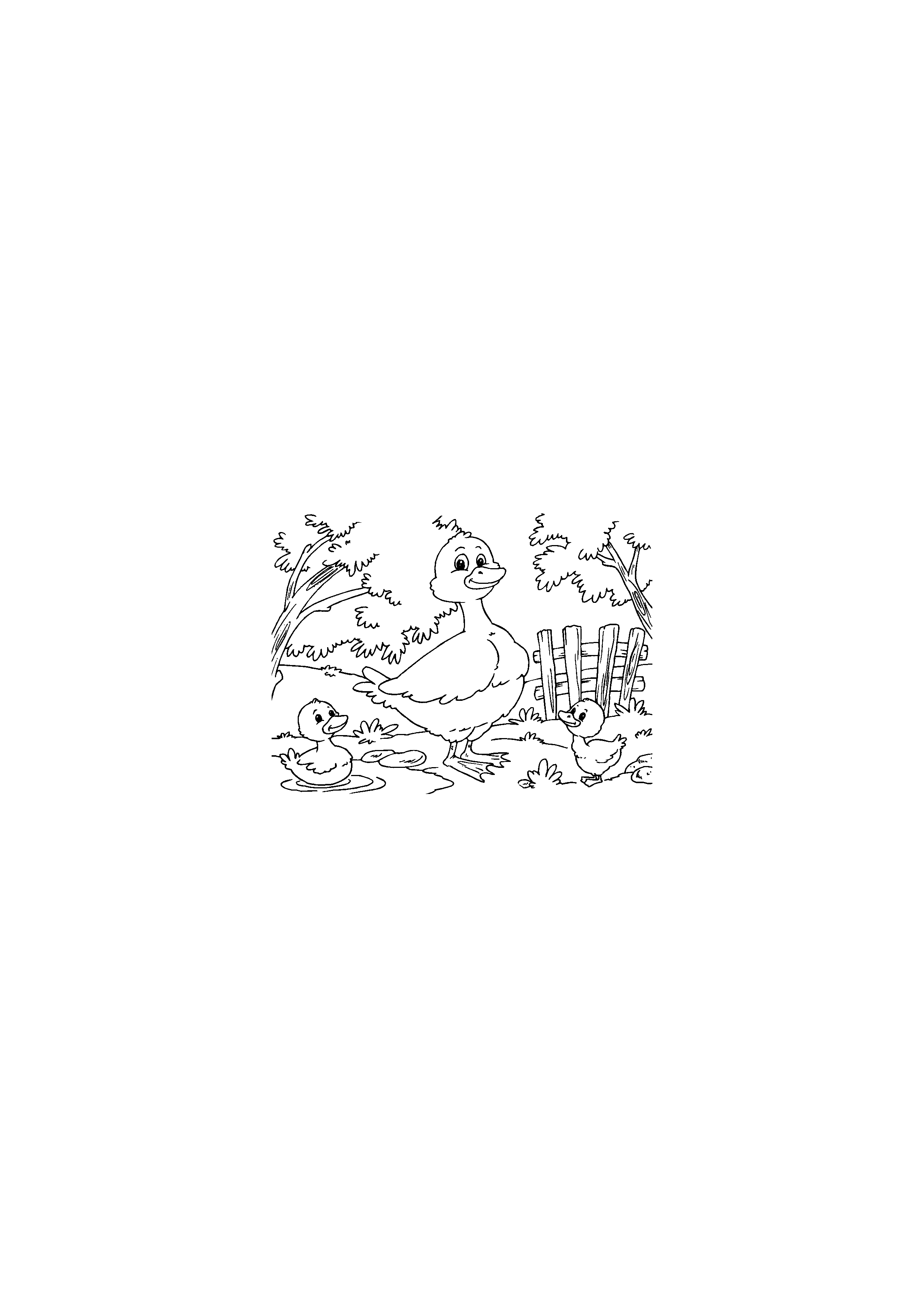 Duck with Ducklings in the Pen