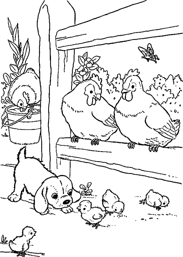Hen with Chicks and Puppy