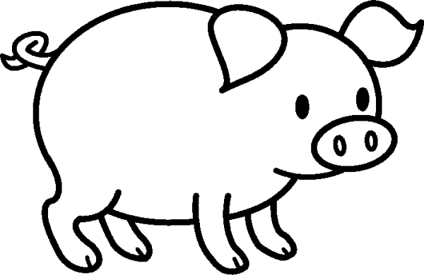 Little Pig
