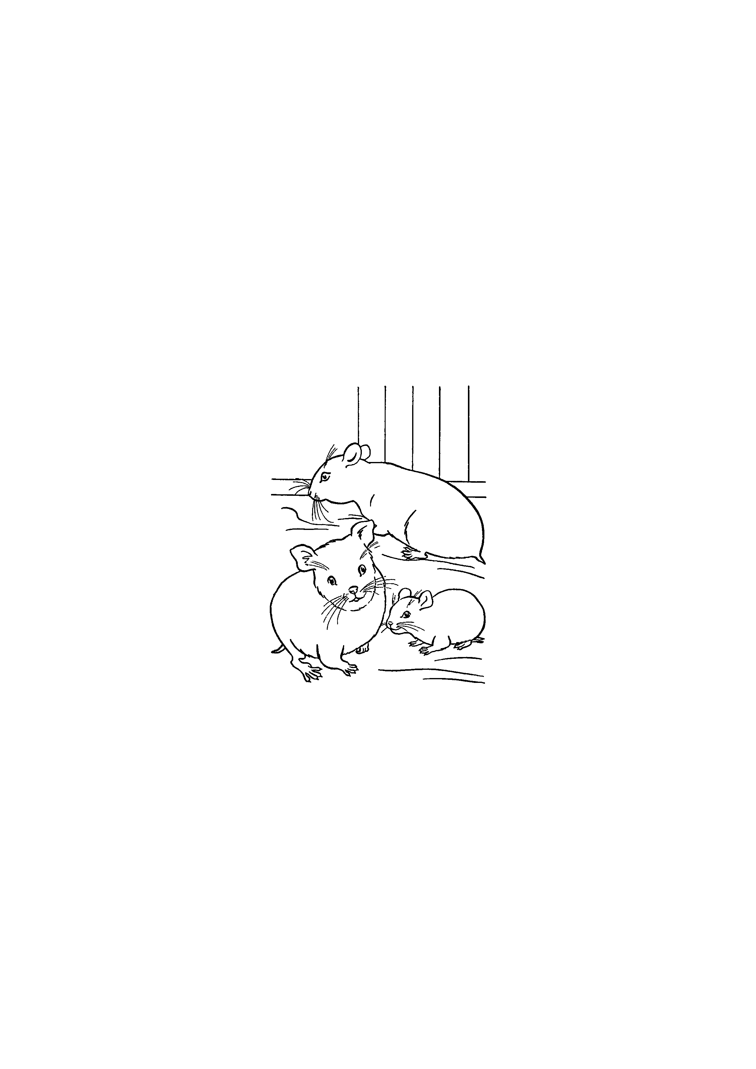 Hamsters
