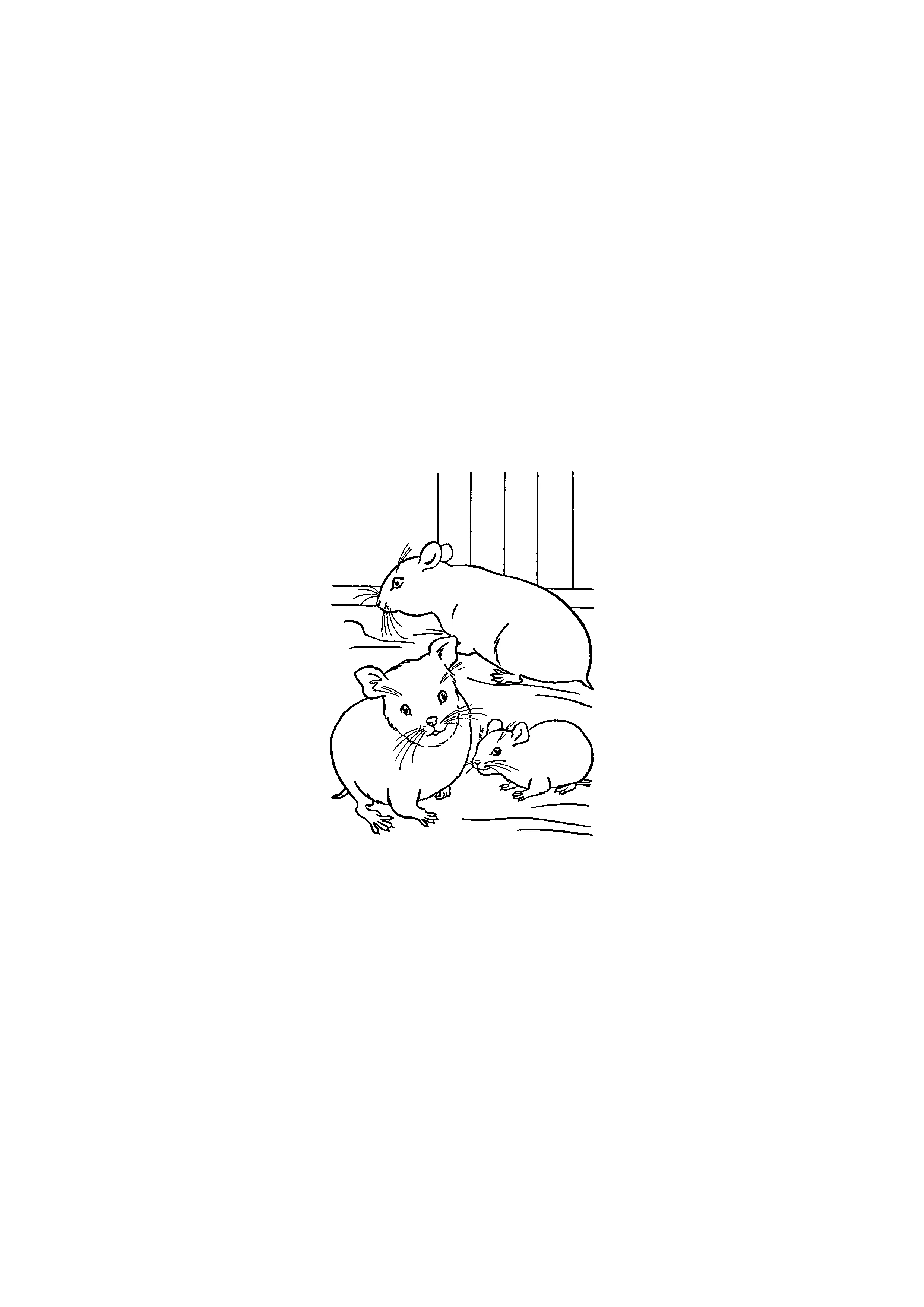 Hamsters