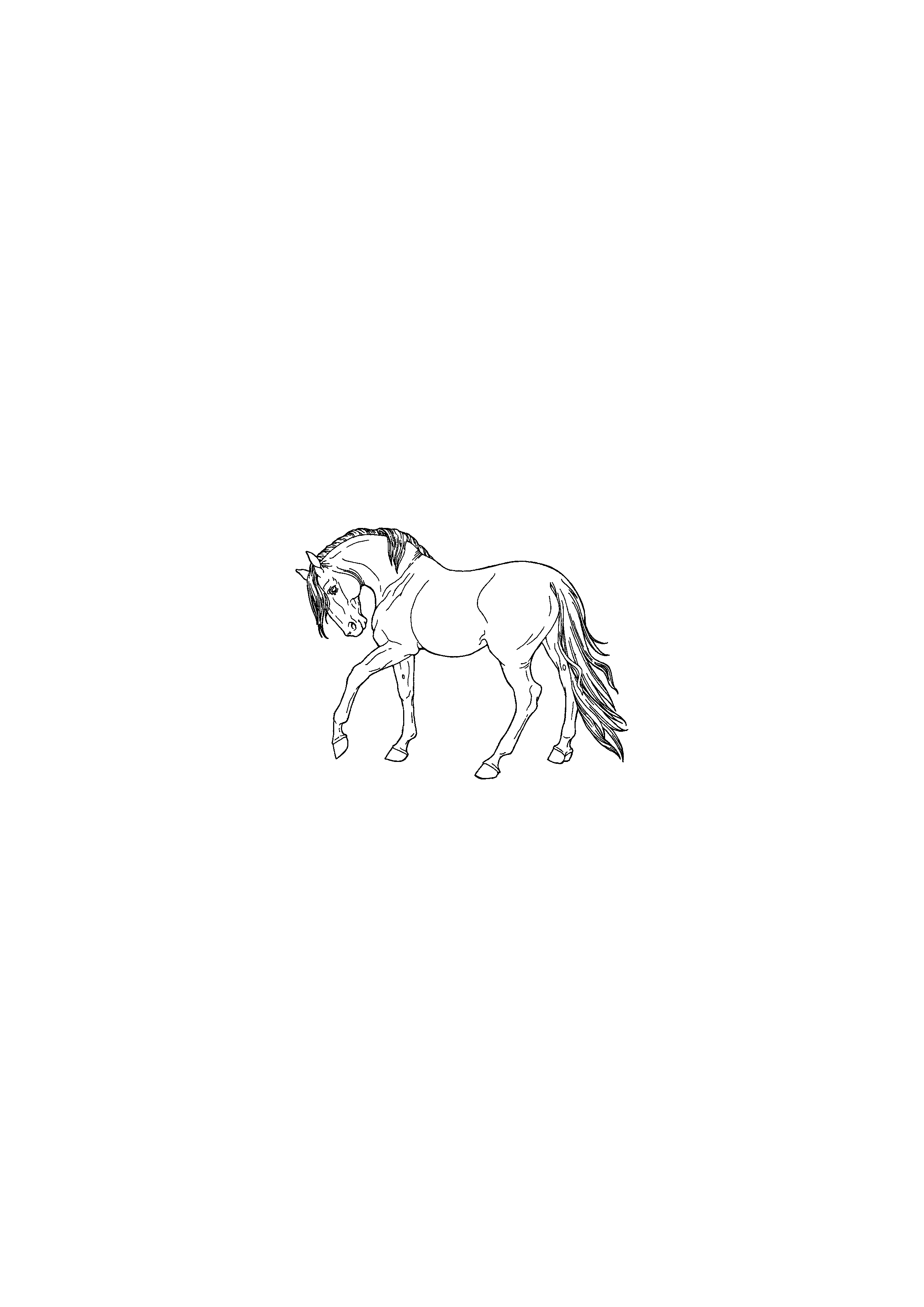 Horse