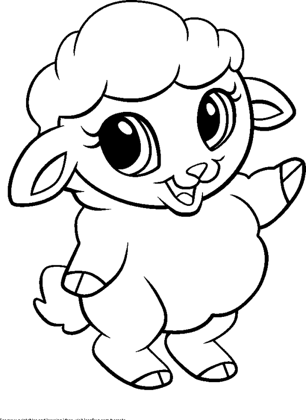 Little Lamb