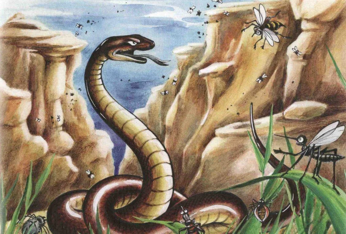 Почему у ласточки хвост раздвоен?