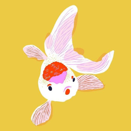 Алтын балық/Золотая рыбка